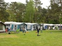 Paardencamping De Witte Wieven