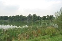 Camping Stelleplas