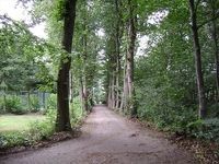 Camping Landgoed de Wildert