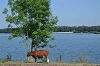 Camping Kampeerhoeve Bussloo