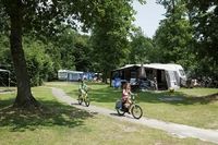 Camping Park 't Hout