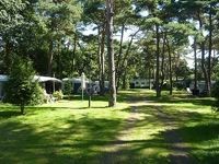 Camping Bos Park Bilthoven