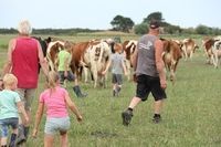 Boerderijcamping de Rodenburghoeve