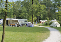 Camping RCN het Grote Bos