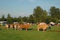 Camping Yn'e Lânsdouwe