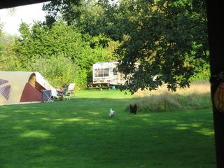 Foto van Camping Natuurkampeerterrein De Roos