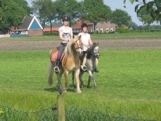 Foto van Camping Musselkanaal