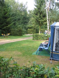 Foto van Camping De Zandhegge