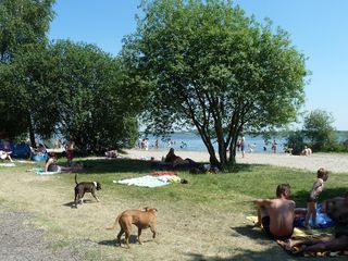 Foto van Camping Erkemederstrand 