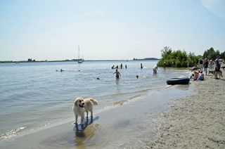 Foto van Camping Erkemederstrand 