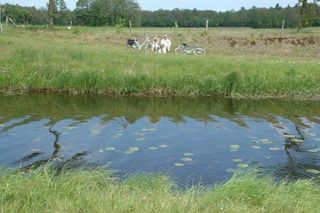 Foto van Boerderijcamping De Wezel