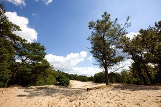 Foto van Camping Recreatiepark-Het Genieten