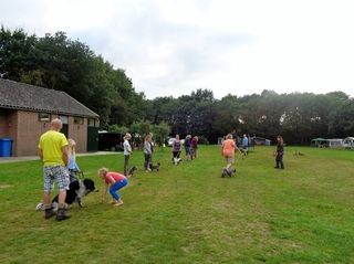 Foto van Camping De Havixhorst