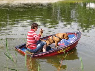 Foto van Camping De Havixhorst