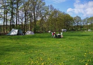 Foto van SVR Boerderijcamping 't Diekshoes