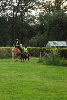 Foto van SVR Boerderijcamping 't Diekshoes