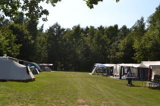 Foto van Camping Allurepark De Thijmse Berg