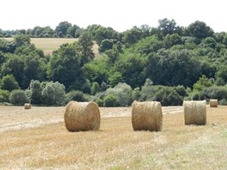 Foto van SVR Minicamping L'Etournerie