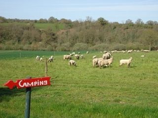 Foto van SVR Minicamping L'Etournerie