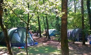 Foto van Camping Beek En Hei