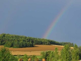 Foto van Camping Ferme équestre LeRupt