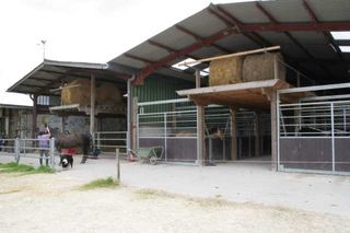 Foto van Camping Ferme équestre LeRupt