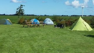 Foto van Camping de Blijer Wadden