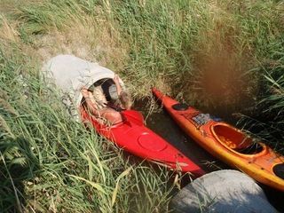 Foto van Naturistencamping Smallegange's dijk