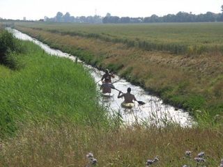 Foto van Naturistencamping Smallegange's dijk