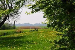 Foto van Boerencamping Old Huystra State