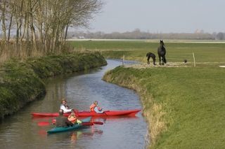 Foto van Boerencamping Old Huystra State