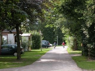 Foto van Camping De Blekkenhorst