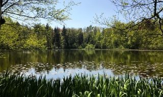 Foto van Natuurkampeerterrein Landgoed Mariahoeve