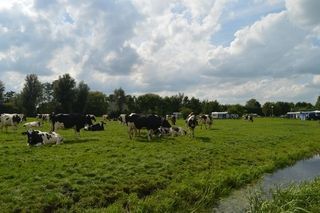 Foto van SVR Natuurcamping De Boerderij