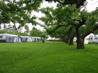 Foto van Camping Buitengoed de Boomgaard