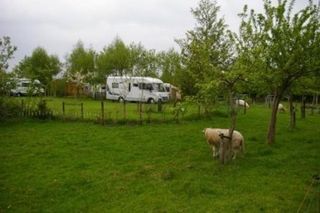 Foto van Camping Thyencamp