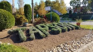 Foto van SVR Camping Het Zwerversnest