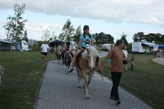 Foto van SVR Camping Vakantieboerderij De Vlierhof