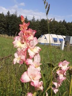 Foto van SVR Christelijke Camping De Solse Berg