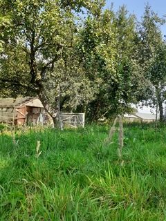 Foto van SVR Christelijke Camping De Solse Berg