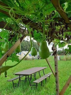 Foto van SVR Christelijke Camping De Solse Berg