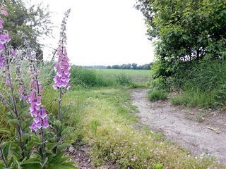 Foto van SVR Christelijke Camping De Solse Berg