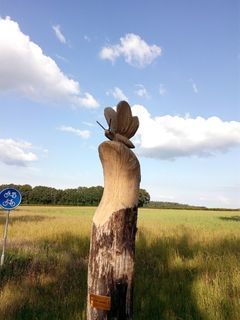 Foto van SVR Christelijke Camping De Solse Berg