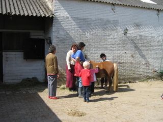 Foto van SVR Minicamping de eendenkooi