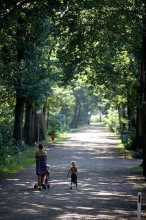 Foto van Camping De Kienehoef