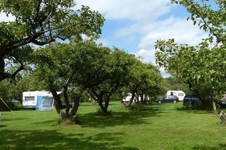 Foto van Camping In het Fruit