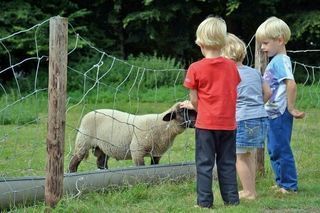 Foto van Camping 't Boerenerf