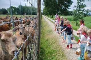 Foto van Camping Hertenboerderij De Weerd