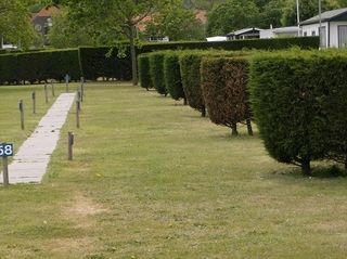 Foto van Camping Hoek van Holland