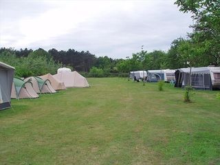 Foto van Camping Kampeerterrein De Donkere Duinen